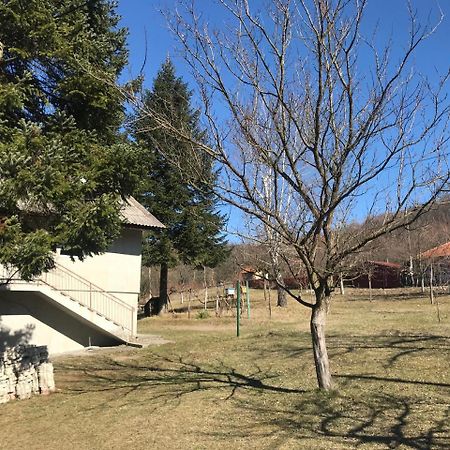 Apartman “Reka Gradac” Valjevo Bagian luar foto