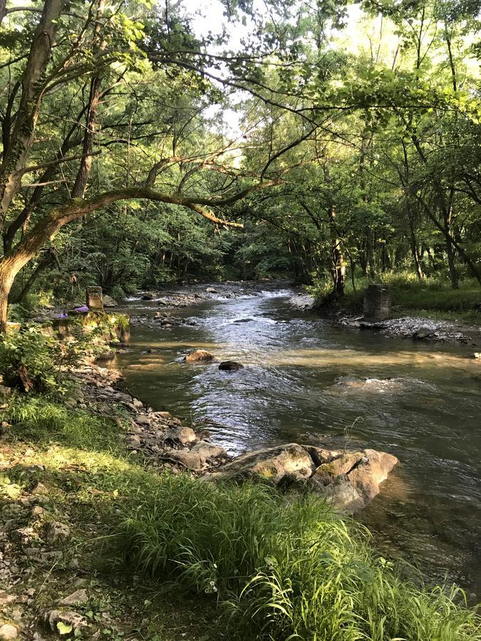 Apartman “Reka Gradac” Valjevo Bagian luar foto