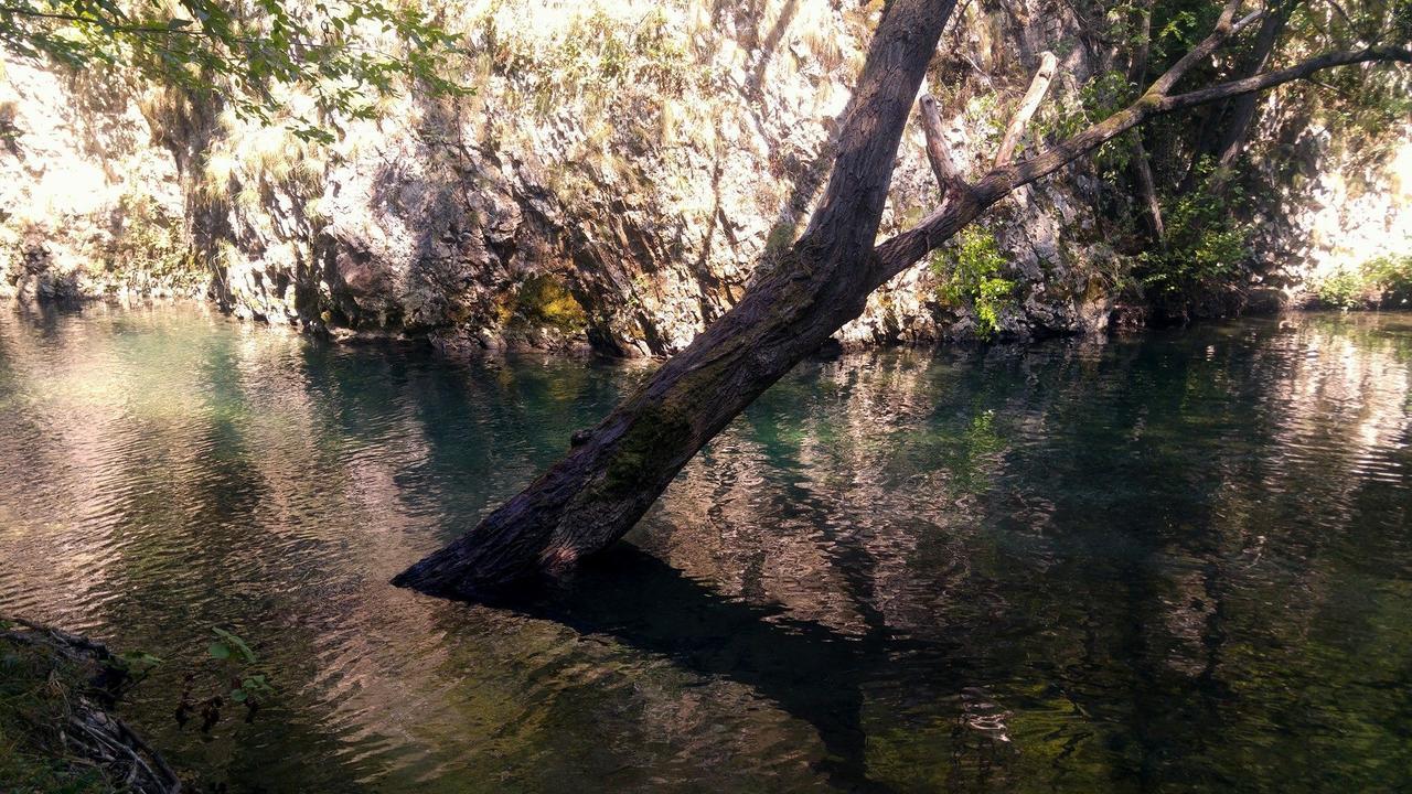 Apartman “Reka Gradac” Valjevo Bagian luar foto