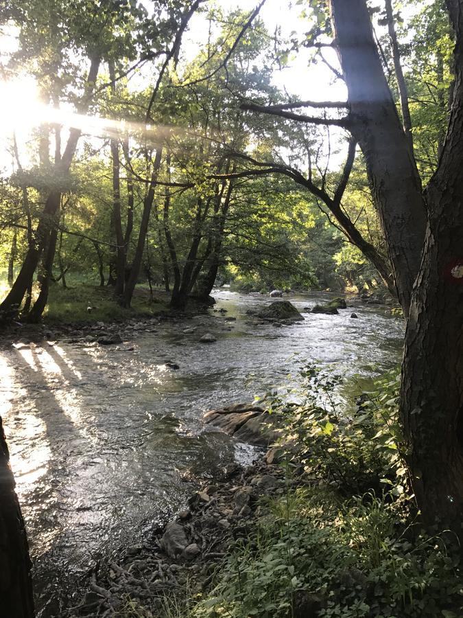 Apartman “Reka Gradac” Valjevo Bagian luar foto